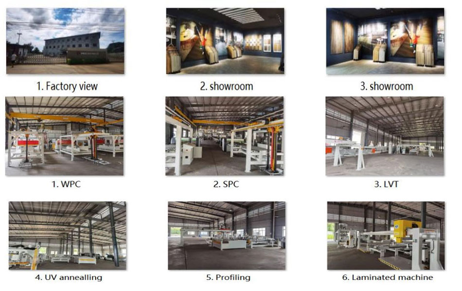 Thailand Factory Update-Factory Pictures